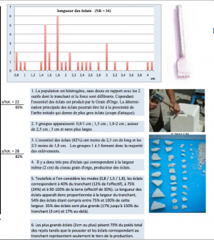 histo-long-eclats-mtpl-2013.png