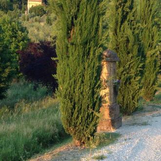 Orvieto altare di bivio