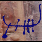 per-storemyr.png