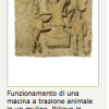 terracotta-osti-soprintendenza.png